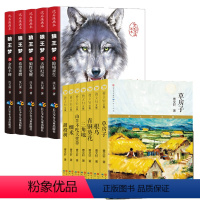 [全12册]沈石溪狼王梦+曹文轩文集7册 [正版]直营狼王梦(共5册)沈石溪画本动物小说 小学生四五六年级课外阅读书籍