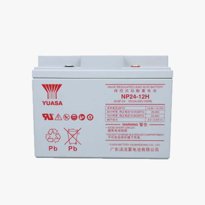 汤浅YUASA 铅酸蓄电池12V24Ah NP24-12H 个