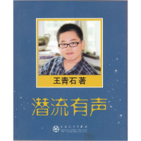正版新书]潜流有声王青石9787530655979