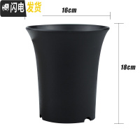 三维工匠船长多肉花盆玉露万象盆塑料小花盆特大加厚肉肉家用 黑色6号(16×18cm)特大号5个 均码花盆容器