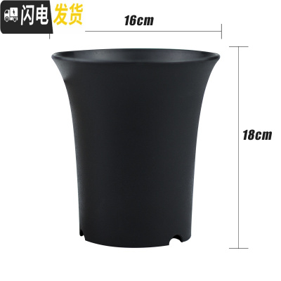 三维工匠船长多肉花盆玉露万象盆塑料小花盆特大加厚肉肉家用 黑色6号(16×18cm)特大号5个 均码花盆容器