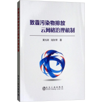 音像致霾污染物排放云网格治理机制黄光球,陆秋琴 著