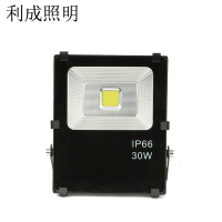 利成照明 投射灯 LED-30W