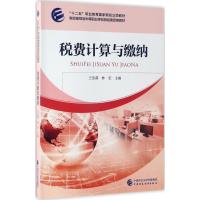 税费计算与缴纳