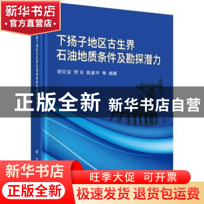 正版 下扬子地区古生界石油地质条件及勘探潜力 胡文?u 科学出版