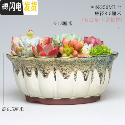 三维工匠大号多肉植物花盆大口径多肉花盆拼盘粗陶中小号花盆陶瓷创意 X109-HONG 中等花盆容器