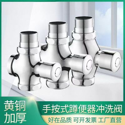 沃奈斯 Oh nice 冲洗阀 手按式延时冲洗阀 全铜款[进水口1寸]特大体 个