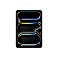 2025款 iPad Pro 平板电脑 11英寸 无线局域网机型 256GB 配标准玻璃面板 银色