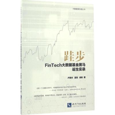 跬步:FinTech大数据基金黑马诞生实录