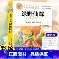 [小学生必读]绿野仙踪 [正版]鲁滨逊漂流记 彩图原著完整版 三四五六七年级上下册必读课外书藉老师名师导读儿童文学经典名