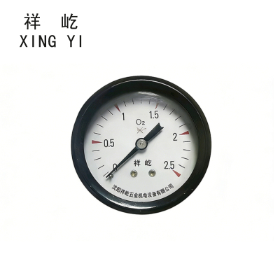 祥屹 氧气表 YO60 块