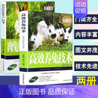 [正版]2册兔子养殖技术书肉兔标准化生产技术高效养兔技术科学饲养管理农业畜牧实用手册兔病防治鉴别诊断图谱治疗全书动物营