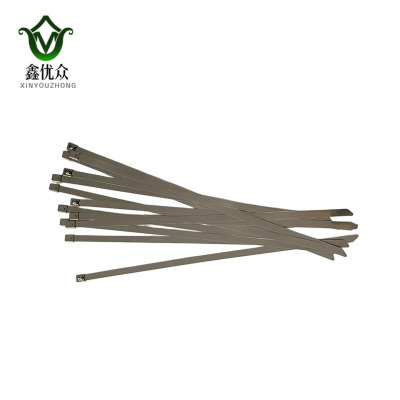 鑫优众 不锈钢扎带 7.9*200mm 根
