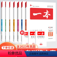 中考语文 九年级/初中三年级 [正版]2024新版一本中考训练方案课标版中考语文数学英语物理化学基础知识专项训练生物道德