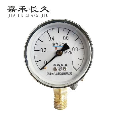 嘉禾长久+氧气压力表检测定制型+YO60+块