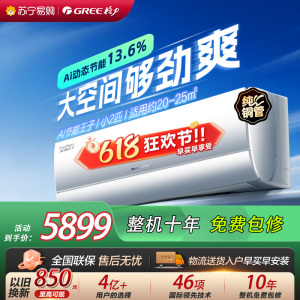 [格力官方旗舰店]格力空调Ai节能王子新一级能效小2匹变频空调挂机KFR-46GW/NhLa1BG冷暖家用低音