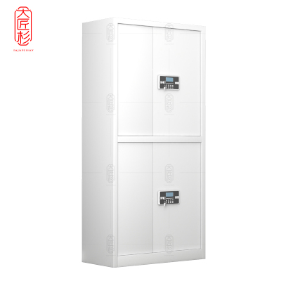 大匠杉 保密柜文件柜通双节柜 DBMG06