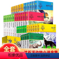 沈石溪动物小说40册[礼盒装] [正版]沈石溪动物小说全集全套36册品藏书系列狼王梦斑羚飞渡第七条猎狗后一头战象四五六年