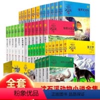 沈石溪动物小说40册[礼盒装] [正版]沈石溪动物小说全集全套36册品藏书系列狼王梦斑羚飞渡第七条猎狗后一头战象四五六年