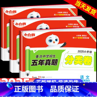 语数英❤小升初真题[分类卷]3科套装1 小学升初中 [正版]2025新版万唯小白鸥原创小升初招生分类卷语文数学英语重点中