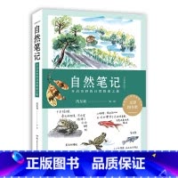 自然笔记(开启奇妙的自然探索之旅全新增订版) [正版]自然笔记(开启奇妙的自然探索之旅全新增订版)