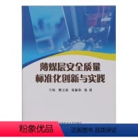 [正版]薄煤层安全质量标准化创新与实践 樊羽泉,高振伟,张勇主编 中国矿业大学出版社