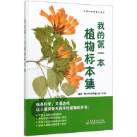 音像我的本植物标本集(精)青少年科学蒲公英工作室