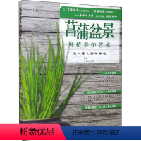 [正版]菖蒲盆景种植养护艺术 文人案头清供雅玩 初舍,朱长 专业科技 园林艺术 养花书籍 书店图书籍中国农业出版社
