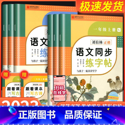 语文同步练字帖 五年级上 [正版]2023版刘有林正楷控笔训练字帖金陵书山有林小学语文同步练字帖一年级二年级三年级四年级