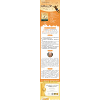 鹏辰正版百班千人34期 外婆的记忆 六年级课外阅读书籍 常青藤国际大奖小说书系 法国童书不朽奖 小学55D5K7