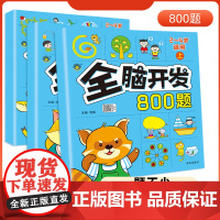 儿童全脑开发思维训练2-3-4-5-6岁幼儿园左右脑开发800题数学思维逻辑书小班中班大班宝宝幼小衔接益智早教启蒙认知书