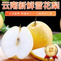[西沛生鲜]云南新鲜雪花梨 净重3斤 大果 单果200g+ 新鲜脆梨水果当季现摘现发雪花梨孕妇水果头茬新果