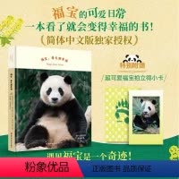 [正版]熊猫宝宝福宝每天都幸福写真拍立得小卡 淘气包福宝幸福日常姜哲远姜爷爷人与自然和谐相处精美画册韩国爱宝乐园写真书