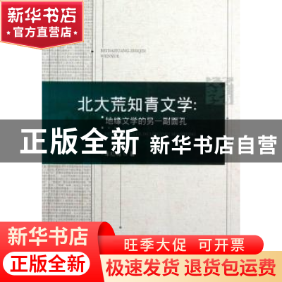 正版 北大荒知青文学:地缘文学的另一副面孔 车红梅著 中国社会科