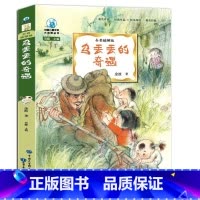 乌丢丢的奇遇 [正版]乌丢丢的奇遇金波着全彩插图儿童文学名家经典书系三四五六七八年级中小学生课外小说读物7-14岁乌丢丢