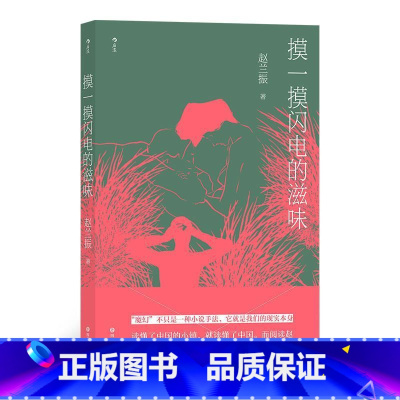 [正版]摸一摸闪电的滋味赵兰振中篇小说小说集中国当代短篇小说普通大众书小说书籍