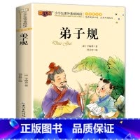 弟子规 [正版]海底两万里注音版书原著 小学生版一二三年级阅读课外书世界名著经典必读老师带拼音儿童读物故事书6一8岁 湖