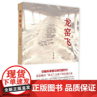 龙窑飞