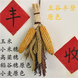 维诺亚真实五谷杂粮挂件玉米麦穗干花高粱田园农家乐装饰农作物五谷丰登