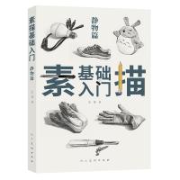 音像素描基础入门(静物篇)王芳