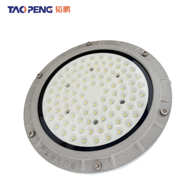 韬鹏 工矿灯 50W 个