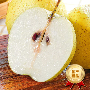 [西沛生鲜]河北精品雪花梨 新鲜水果 松脆多汁 净重4.7斤 单果300g以上