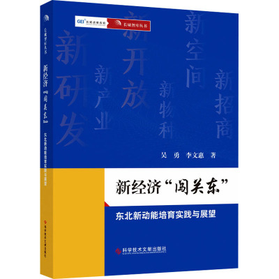 新经济“闯关东”——东北新动能培育实践与展望