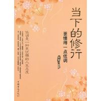 正版新书]当下的修行:要懂得一点低调释颢 编著9787511311078