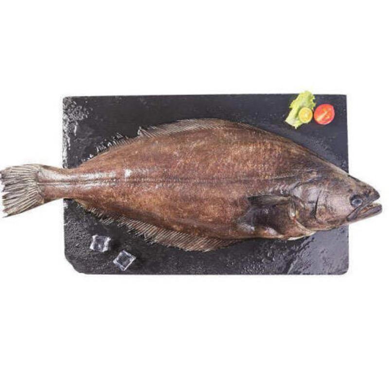 赛卡伊 碟鱼 白鲽鱼 二去碟鱼 新鲜海鲜 鲜活水产 海鲜 鱼 新鲜大鲽鱼