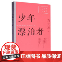 少年漂泊者(红色经典文艺作品口袋书·第二辑)