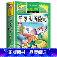 洋葱头历险记 [正版]保证绿野仙踪 免邮 小学生课外阅读书籍 彩绘非注音版 一年级二年级三年级课外书 儿童故事书 小学拼
