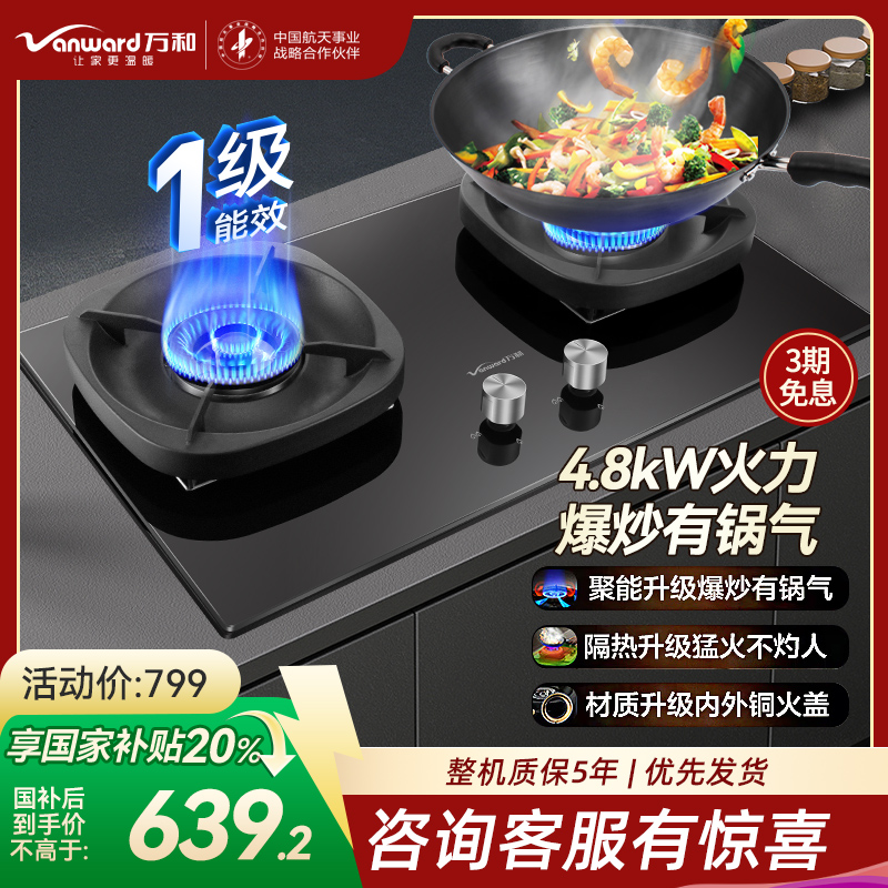 万和(Vanward) 超一级能效 液化气双灶 双眼燃气灶 单灶具 4.8KW火力钢化玻璃 可调底座G6L50