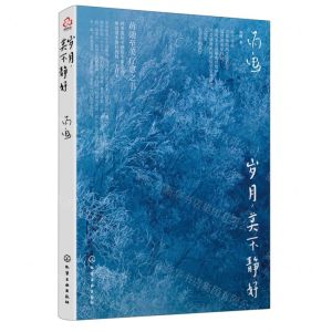 [N]岁月莫不静好-9787122413840