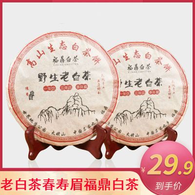 福鼎白茶饼老寿眉福建太姥山高山茶叶福鼎白茶老白茶350g